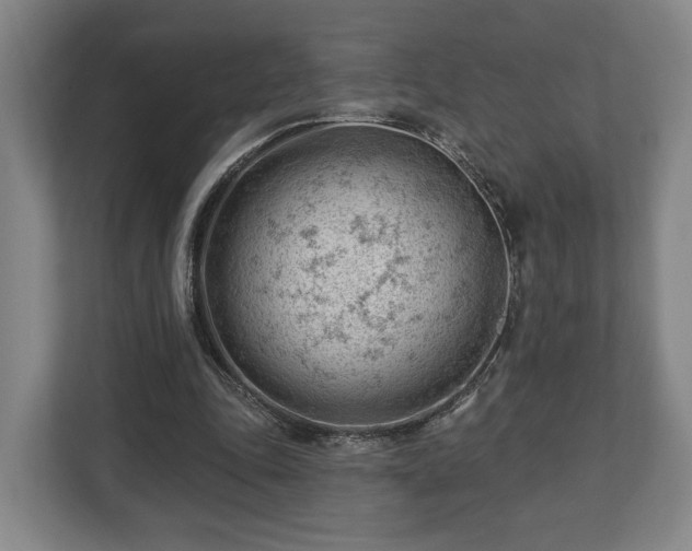 X0000112740343200908271526