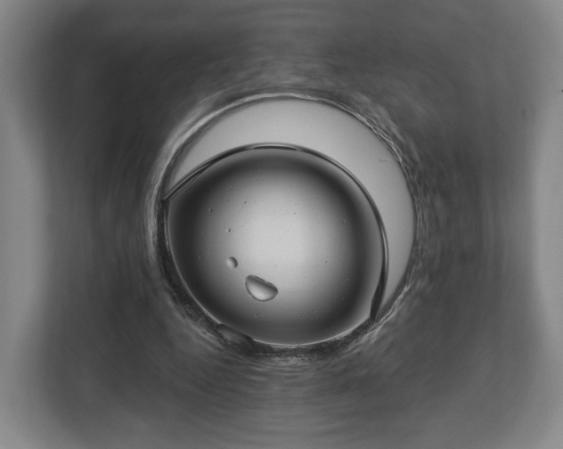 X0000112740344200908271526