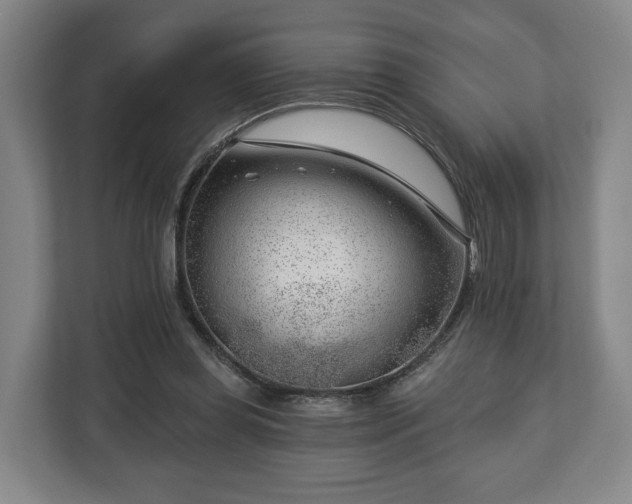 X0000112740349200908271526