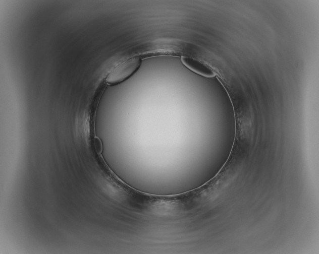 X0000112740350200908271526