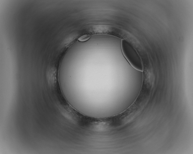 X0000112740356200908271526