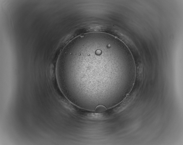 X0000112740361200908271526