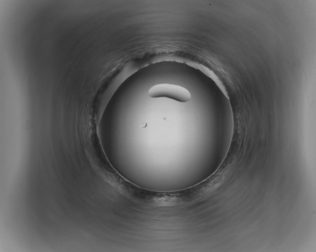 X0000112740362200908271526