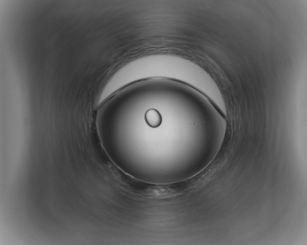 X0000112740372200908271526