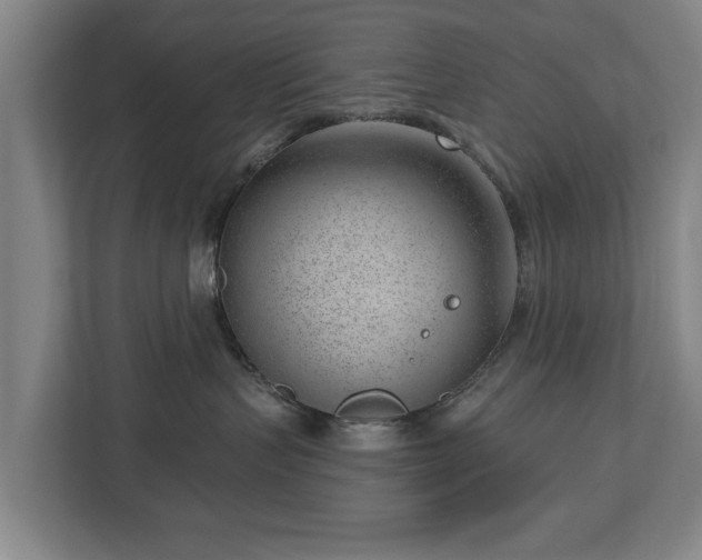 X0000112740383200908271526