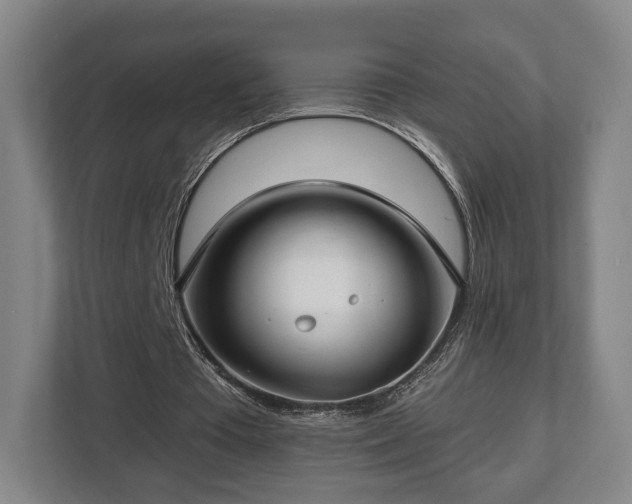 X0000112740385200908271526