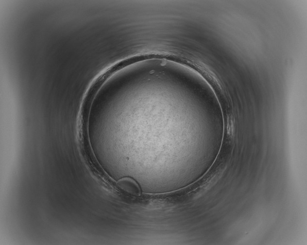 X0000112740388200908271526