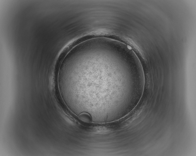 X0000112740392200908271526