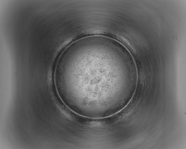 X0000112740394200908271526