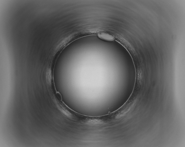 X0000112740397200908271526