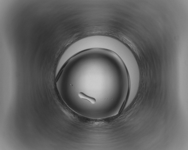 X0000112740401200908271526