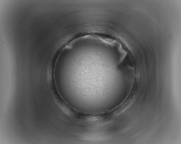 X0000112740402200908271526