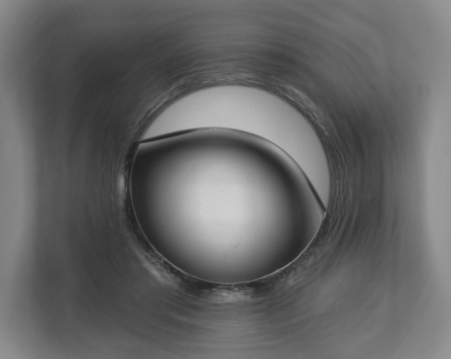 X0000112740405200908271525