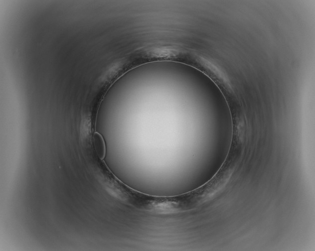 X0000112740407200908271525