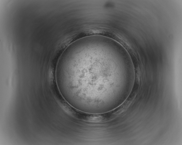 X0000112740410200908271525