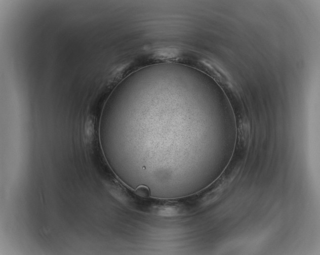 X0000112740412200908271525