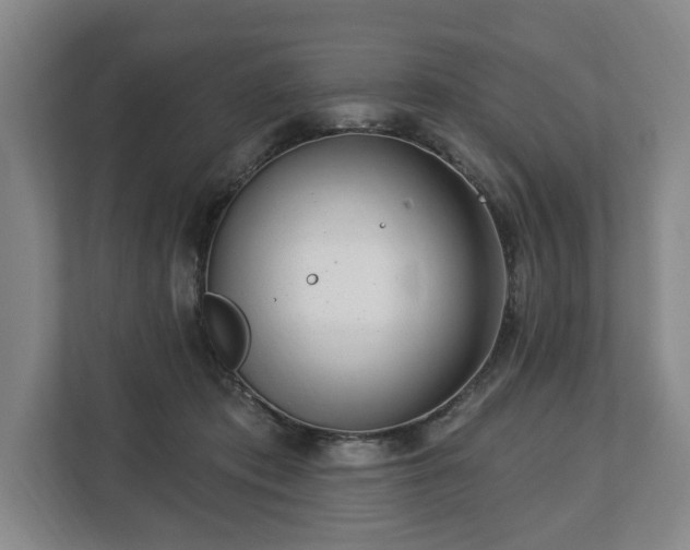 X0000112740413200908271525