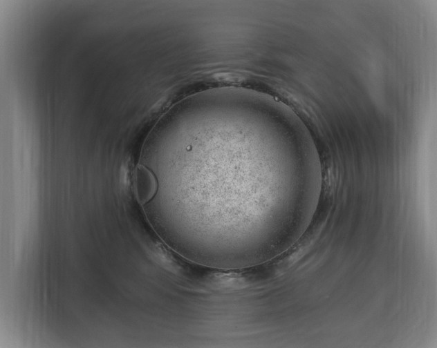 X0000112740424200908271525