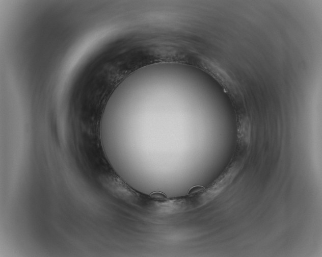 X0000112740430200908271525