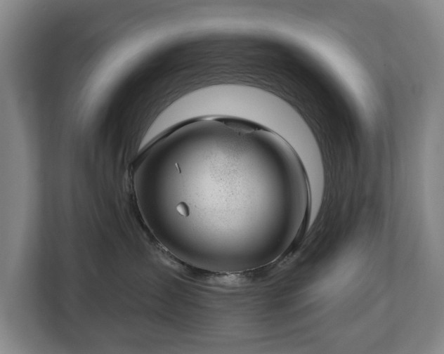 X0000112740431200908271525