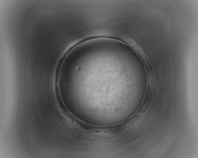 X0000112740434200908271525