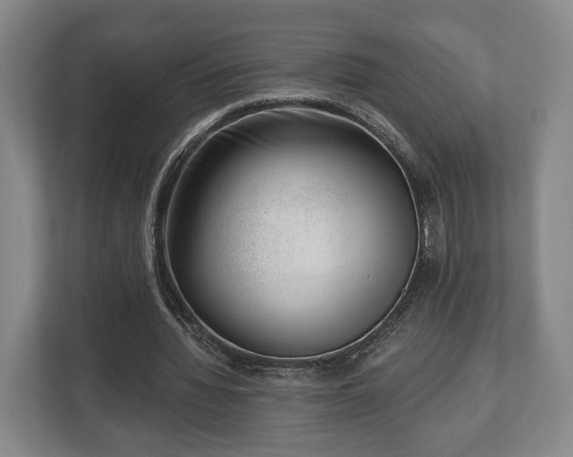 X0000112740436200908271525