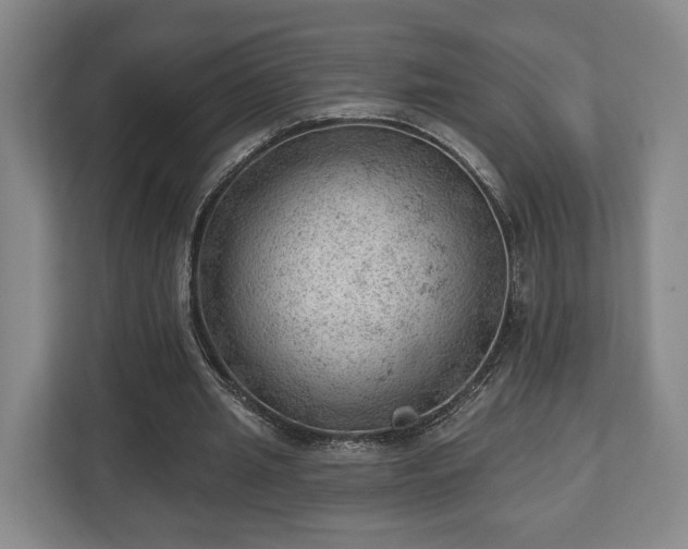 X0000112740437200908271525