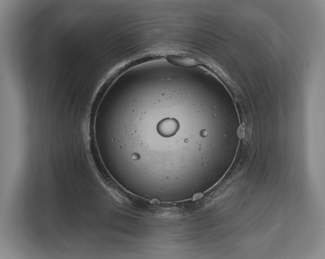 X0000112740438200908271525