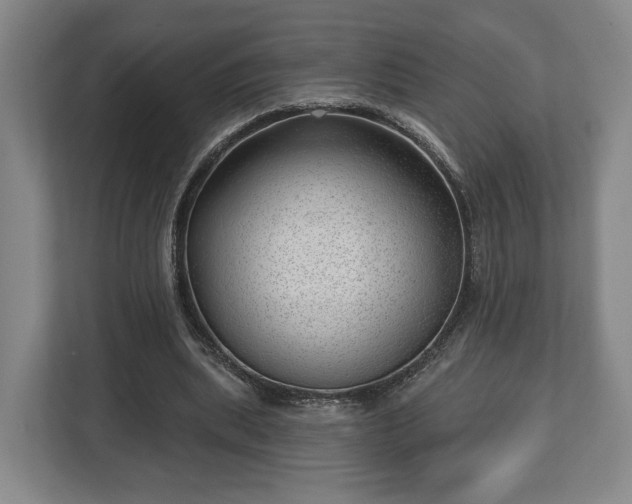 X0000112740439200908271525