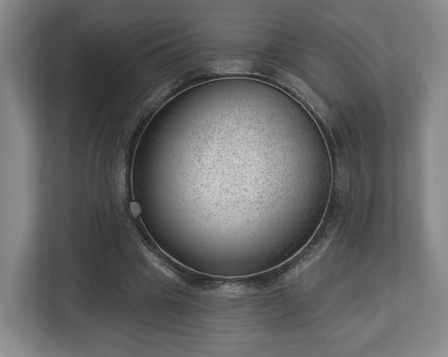 X0000112740441200908271525