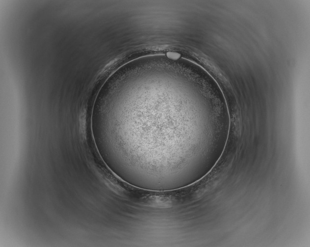 X0000112740442200908271525