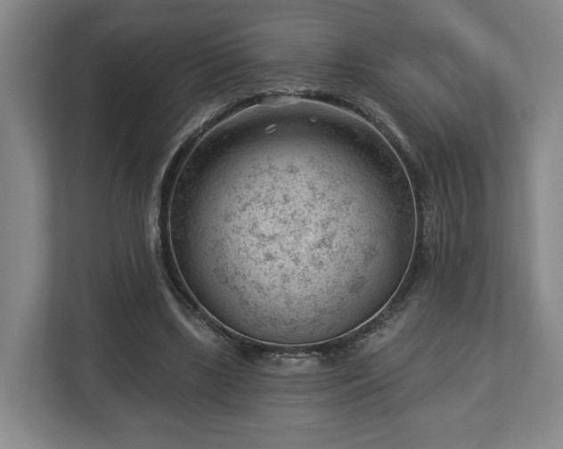 X0000112740443200908271525