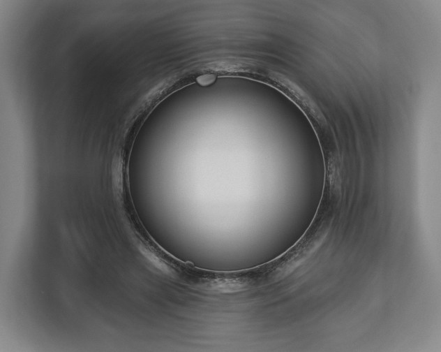 X0000112740445200908271525