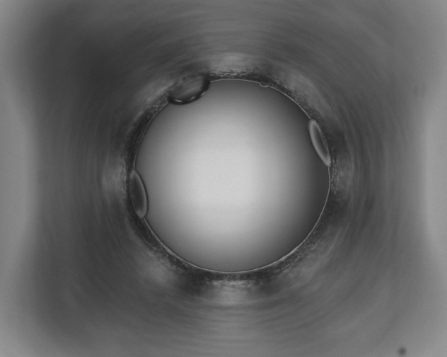 X0000112740448200908271525