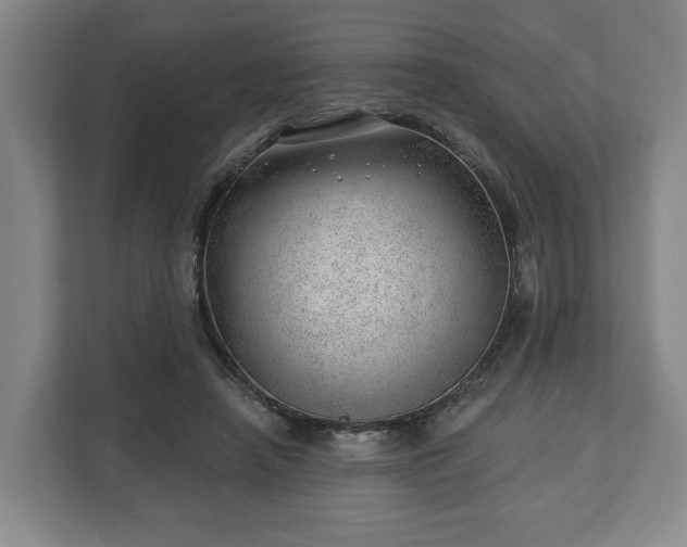 X0000112740450200908271525