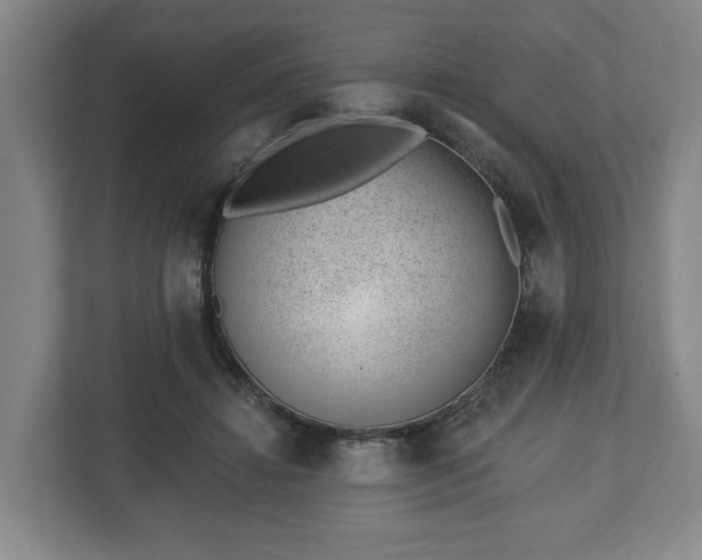 X0000112740452200908271525