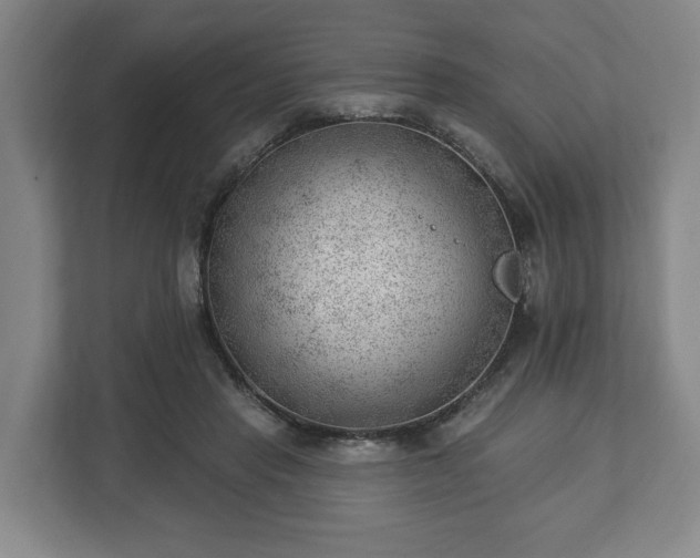 X0000112740453200908271525