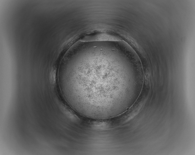 X0000112740454200908271525