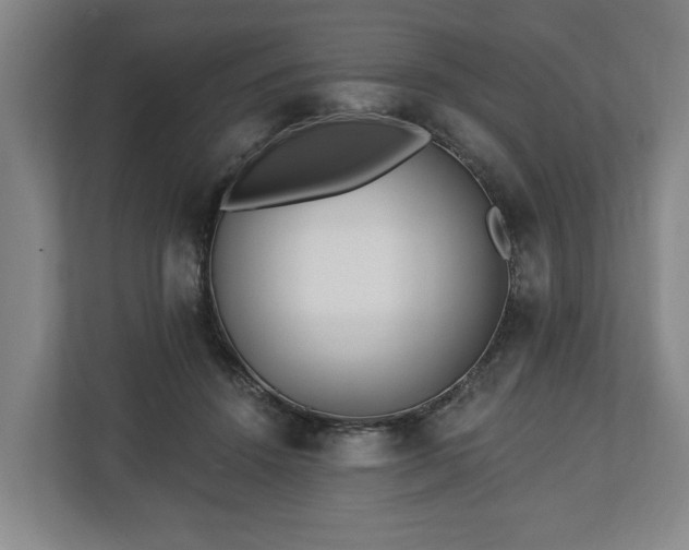 X0000112740456200908271525