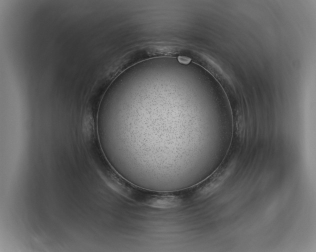 X0000112740459200908271525