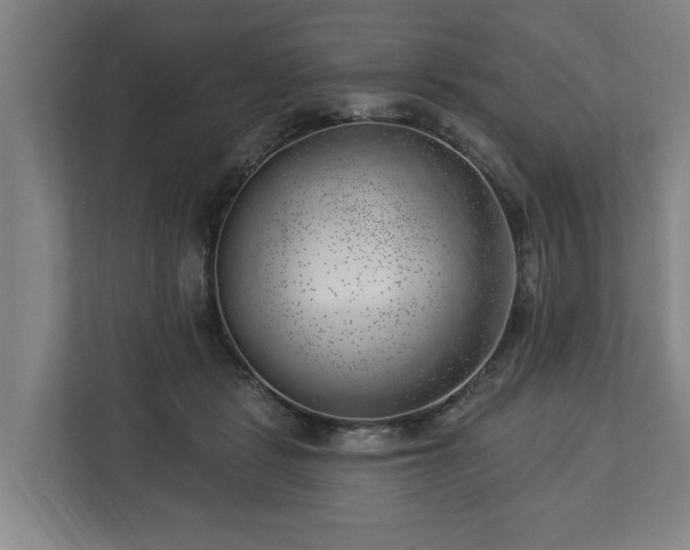 X0000112740461200908271525