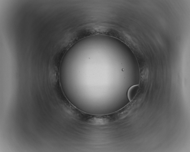 X0000112740464200908271525