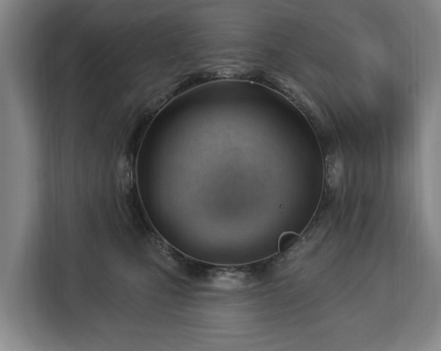 X0000112740471200908271525