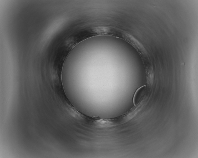 X0000112740477200908271525