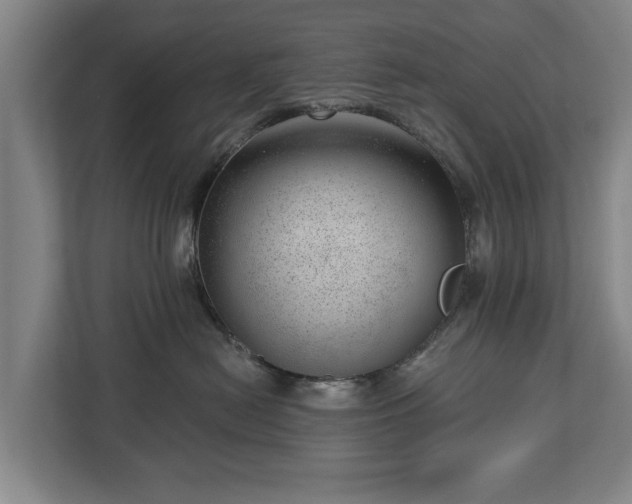 X0000112740478200908271525