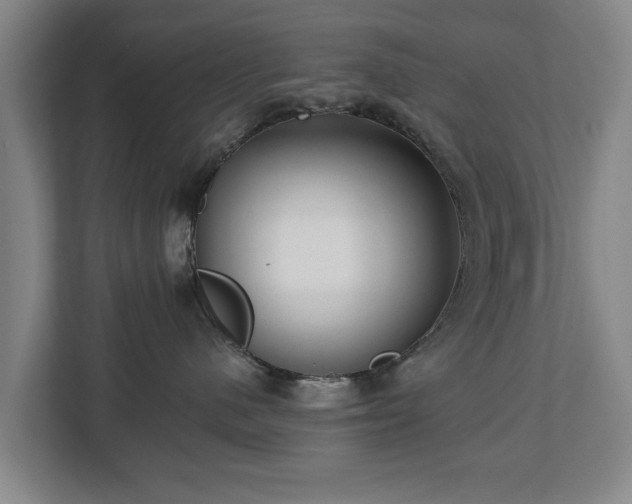 X0000112740480200908271525