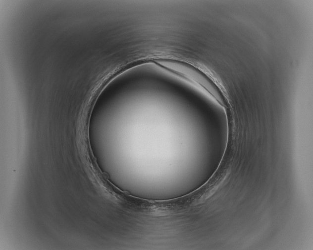 X0000112740481200908271524