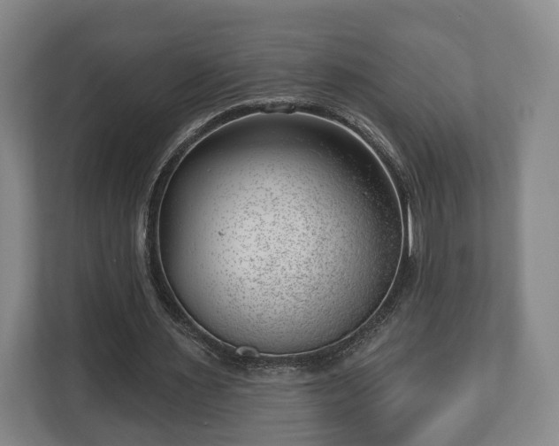 X0000112740483200908271524