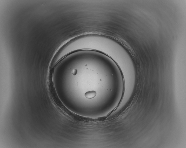 X0000112740484200908271524