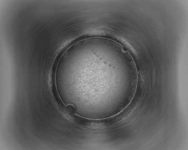 X0000112740487200908271524